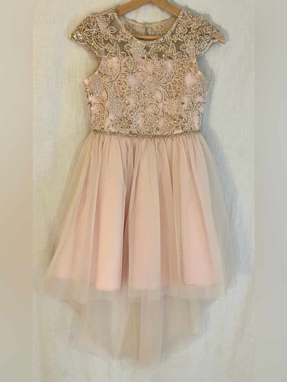 Rare Editions Pink and Gold Lace Tulle Hi-Low Dress
